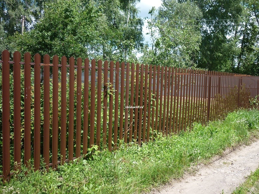 Забор из металлического штакетника в Курской области в д. Гремячка Забор из металлического штакетника в Курской области в д. Гремячка